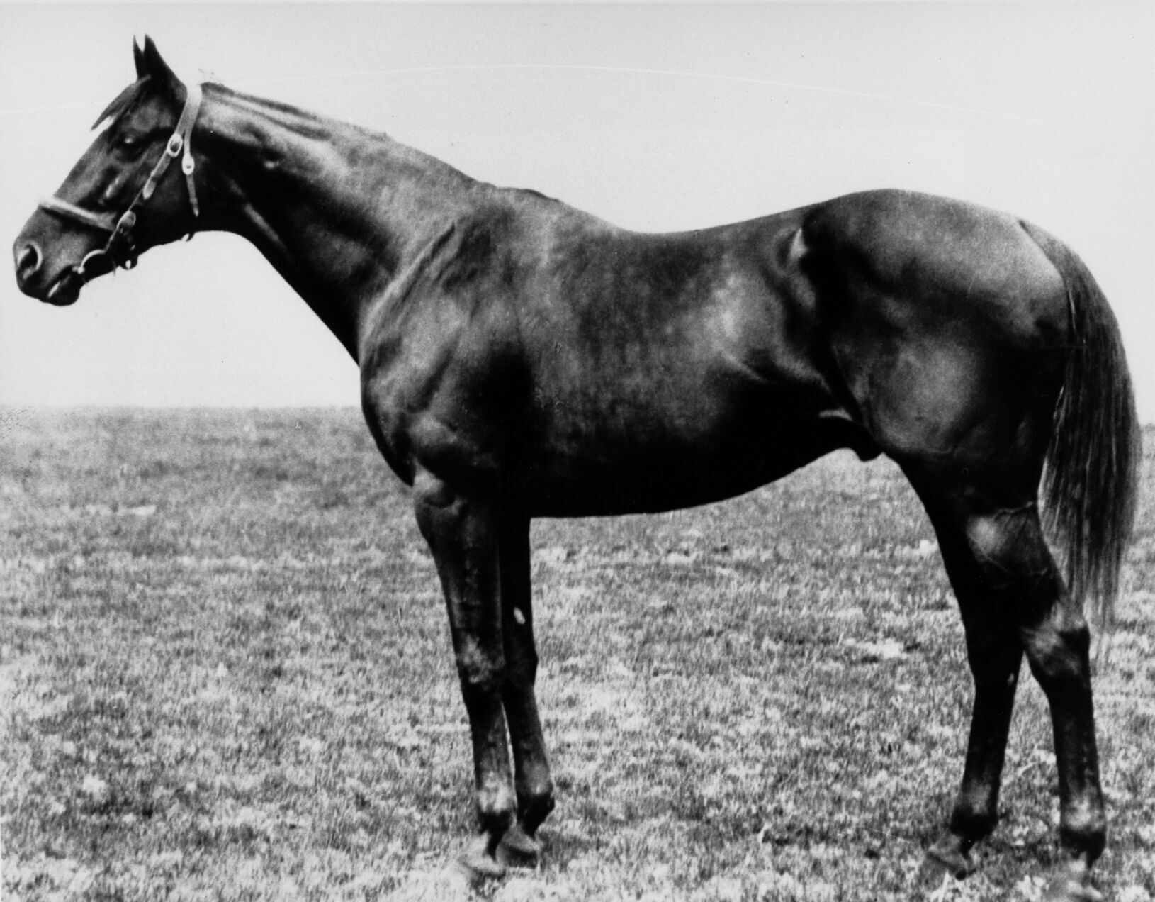 1919: Sir Barton wins Preakness Stakes four days after winning Kentucky Derby
